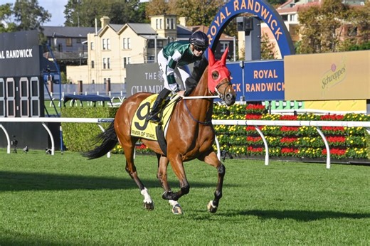 River Of Stars | Just Horse Racing