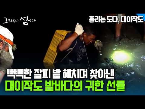 빽빽한 잘피 밭 헤치며 찾아낸 대이작도 밤바다의 귀한 선물 [그리우니 섬이다]