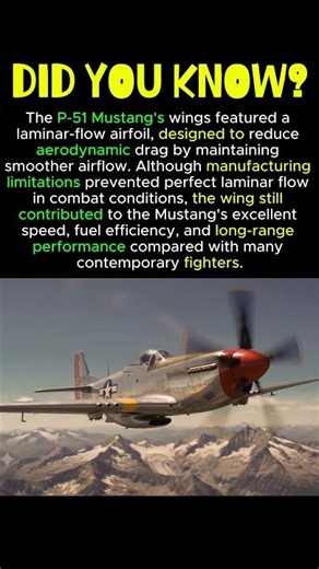 Why the Mustang's Wings Looked Different #p51mustang #ww2fighter #p51