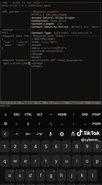 Wuzz: Alat Interaktif untuk Inspeksi HTTP