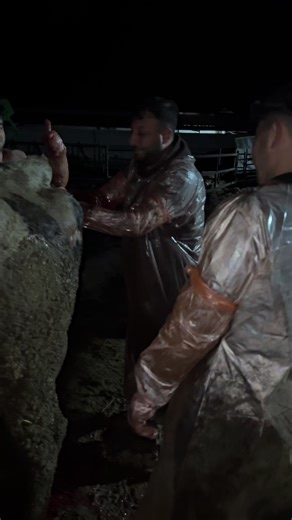 Hocalarımla 6 taklalı 2.5 saat lik doğum operasyonu sonu @Yavuz Tuzla