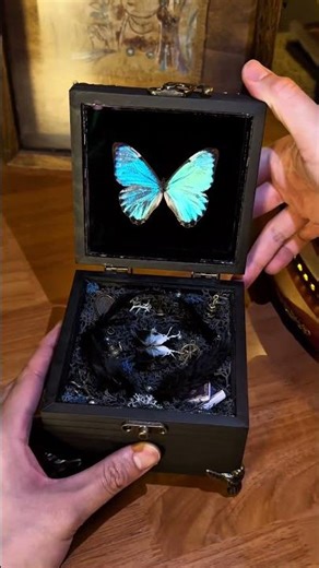 ✨ Butterfly Music Box – A Timeless Gift of Love & Melody 🦋🎶 #butterflyart #butterfly