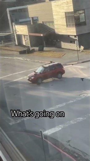 They know he got mad bird feeder