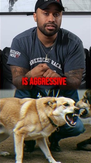 Artificial Insemination: Minimizing Risks