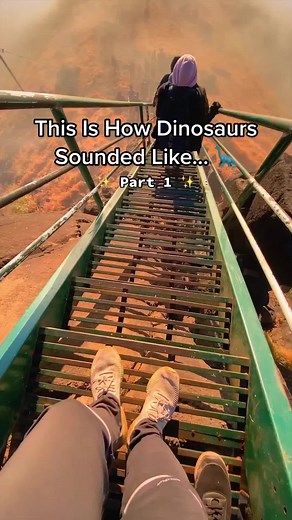 How Dinosaurs Sounded Like 🦕🦖 #dino #dinosaur #fyp #fy