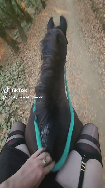 If I let go, he will run to the barn and gobble his oats! #daintyrascal #daintyrascaldancing #daintyrascalvintage #dance #dancer #dancing #dancewithme #letsdance #sheer #lingeriemodel #model #fangirl #farmgirl #countrygirl #blonde