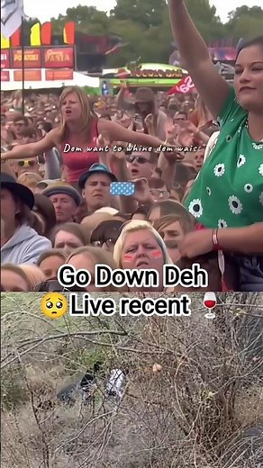 go down deh live concert ( Shaggy )#shaggy #godowndehenglishsong #shorts