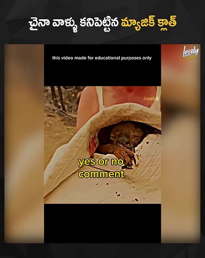 21K views · 198 reactions | చైనా వాళ్ళు కనిపెట్టిన మ్యాజిక్ క్లాత్ ...!! #skfacts #tamadamedia #tamada #lovelytelugu #facts #animallove #explore #trending #facebookreel | Lovely telugu | Facebook