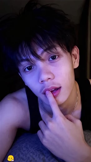 Vertical Frame Webcam Collage Tutorial for Dim Lighting