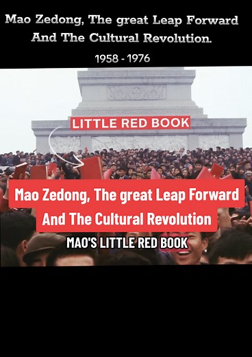 Mao Zedong's Great Leap Forward and Cultural Revolution