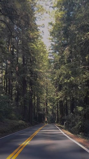 Gateway to the Coast. One of the best parts of the whole adventure. What is your favorite route to get to Fort Bragg? | Visit Fort Bragg, California