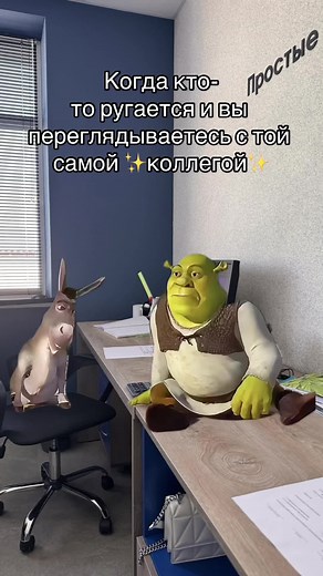 Когда кто-то ругается и вы переглядываетесь с коллегой