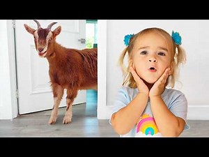 Alice explores animals through sounds and paw prints