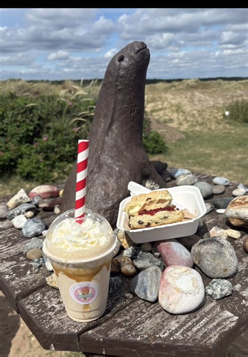 A hidden treasure in Winterton not only does @Whippy World offer its wide range of food and drinks it’s located in a beautiful spot over looking Winterton beach where you can also spend your time taking a leisurely stroll through the dunes 🌊 🦭 #norfolk #thingstodoinnorfolk #norfolkfood