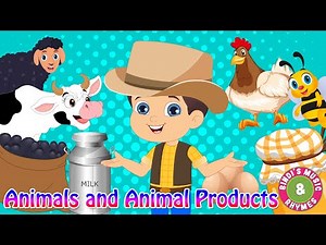 Animals & Animal Products | Educational Rhymes | Bindi's Music & Rhymes