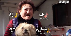 179K views · 207 shares | “3개월만에 초코를 품에안아 기쁜 할머니... 그런데 말입니다” 할머니와는...