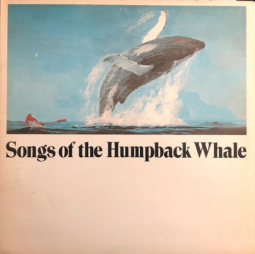 Humpback Whale - Songs Of The Humpback Whale