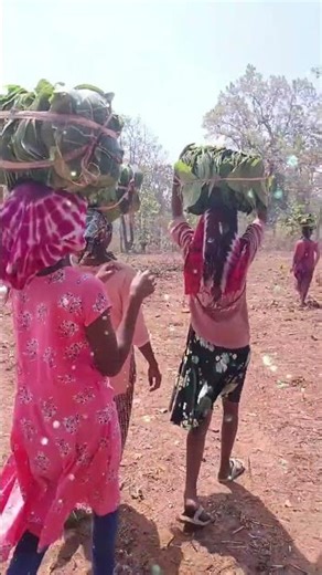 Koraputia new song #desisong #trending #shortvideo #shorts #desiasong2025 #viral #koraputiasong #new