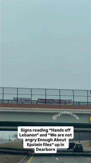 “Hands off Lebanon” and “We are not angry Enough About Epstein files” read signs in Dearborn, MI