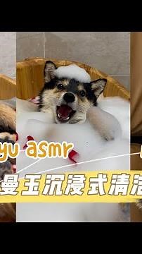 【ASMR】玫瑰美人浴 | 曼玉Manyu氛围感清洁SPA