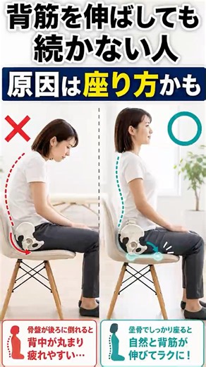 【猫背 肩こり 原因 座り方】猫背や肩こりでお悩みの方必見★猫背・肩こりの原因は座り方かも？正しい座り方を紹介する整体院 #shorts #猫背改善 #座り方