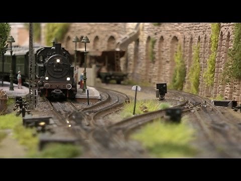 Beautiful Dutch Model Train Layout in HO Gauge with Field Railway