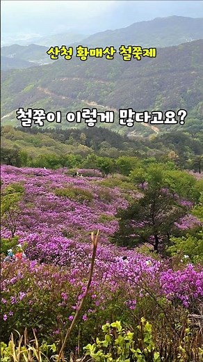 아름다운 산청 황매산 철쭉제 #산청여행 #산청가볼만한곳 #산청황매산철쭉제