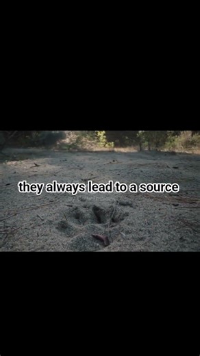 STRANDED ! | How to Find Drinking Water in the Wild #shorts #viralshorts