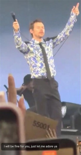 Harry Styles giving the permission to adore him on stage - July 4, 2026