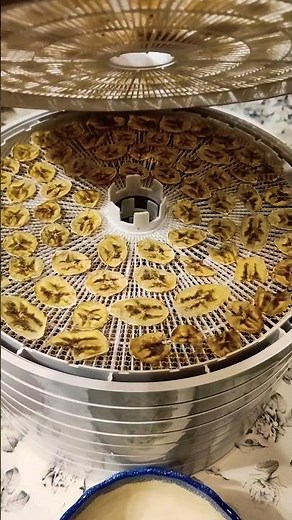 BANANA CHIPS / How to Dry Bananas in the EZIDRI Ultra FD1000 Digital Dryer