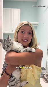 Laundry Room to Bengal Cat Haven: BISSELL Pet Care Makeover
