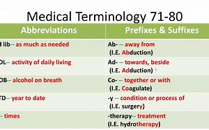 【医学术语学】Medical Terminology 71-80 · 油管搬运