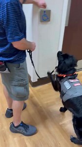 4.7K views · 70 reactions | Stanlee’s got one mission today: push the...