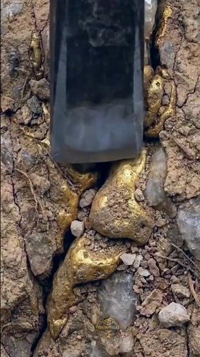 Gold Found in Rock! 😱 Natural Gold Vein Discovery Inside Quartz | Amazing Gold Mining Footage