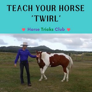 Teach your horse to twirl! 🤩 🐴 This fun trick helps with your horse's flexibility and is the beginning of dancing at liberty. Learn how in the Horse Tricks Club: ➡️ https://www.horsetricks101.com/join-academy Join 800 fantastic members from around the world for a year of... 🌍 💃 Delightful and engaging bonding experiences for you and your horse 📚 Comprehensive training for all levels (from Newbie to Master) ⭐ Expert Guidance from our seasoned trainers 👭 Warm-hearted, supportive, worldwide c