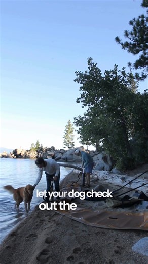 Paddling with a pup is best case scenario. Here's how to get the most out of your time on the water together.