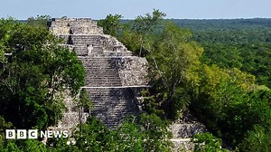 Lost Mayan city found in Mexico jungle by accident