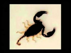 Sting TNA Debut Message