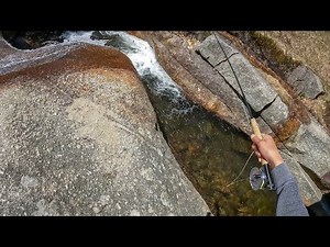These Plunge Pools were FULL of BROOK TROUT (White Mountains)