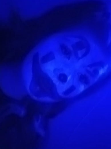 icp fyp @icp@Sheila @ICP OFFICIAL fyp @icp_insaneclownposse$ @Icp