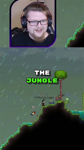 Steps to a Terraria experience, that you dont want to take