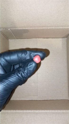 🍬 Plus petite commande de la boutique 🍬