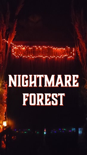 Looking for a fun home haunt for the whole family? Take a spooky stroll through this nightmare forest in Nampa! Neider's Nightmare Forest is open this weekend and next weekend. It's just the right amount of fright for all ages - no blood or gore (just some jump scares). We went there this week and had a blast! 📍 7750 Highway 45, Nampa 🗓 October 16-18 and 23-25 🕒 7-9:30 PM No admission required, but donations are accepted. Donations go to St. Luke's Cancer Institute and local schools. | Boise 