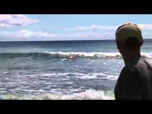 Fish Harvester: Bait and deploy