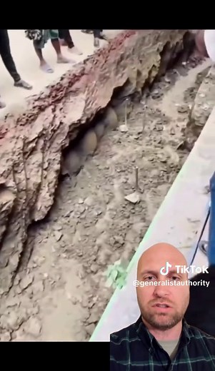 Prehistoric Plesiosaur Eggs Found in Mumbai