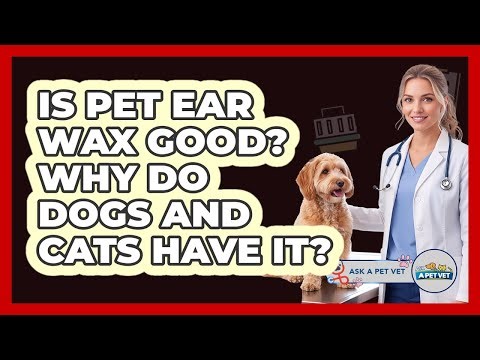 Is Pet Ear Wax Good? Why Do Dogs And Cats Have It? - Ask A Pet Vet