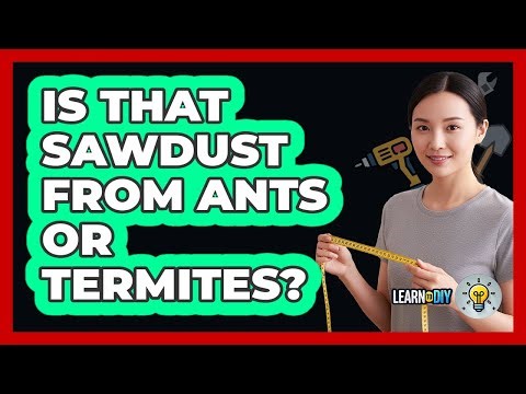 Is That Sawdust From Ants or Termites?