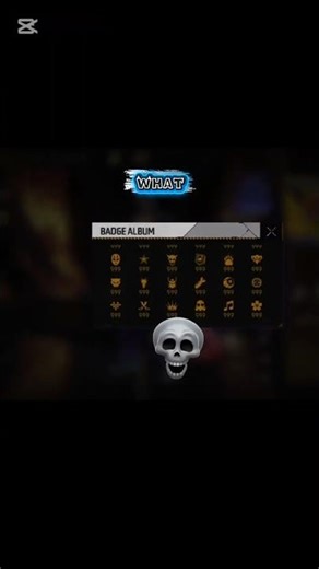 MY COLLECTION REVIEW