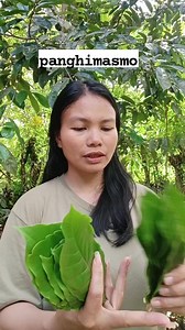 379K views · 7K reactions | Dahon sa kape,dahon sa mangga,panghimasmo ni siya #herbalremedies #Benefits #herbal #healthtips #herbalmedicine #herbs #herbalife #herbaltea | Teray Katuray | Facebook