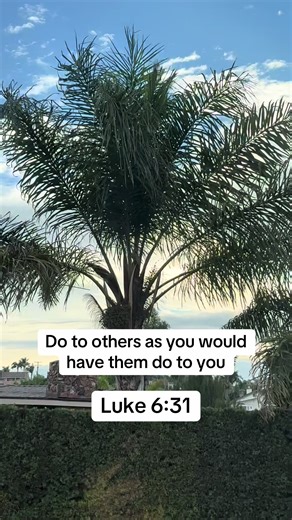 Good morning Friday! #verseoftheday #bibleversesdaily #bible #bibleverse #godisgood